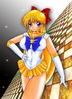 sailor_moon_20110626_003.jpg